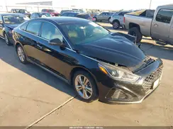 5NPE34AF8KH740053 2019 HYUNDAI SONATA