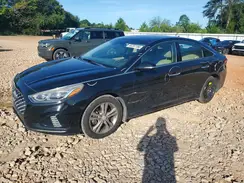 5NPE34AF8KH743731 2019 HYUNDAI SONATA