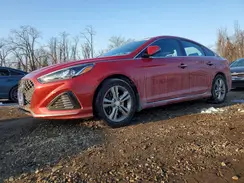 5NPE34AF8KH755698 2019 HYUNDAI SONATA