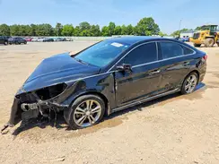5NPE34AF8KH762750 2019 HYUNDAI SONATA