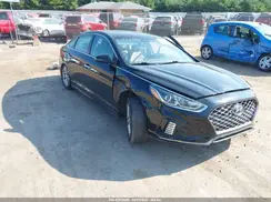 5NPE34AF8KH763994 2019 HYUNDAI SONATA