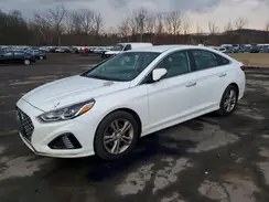 5NPE34AF8KH764210 2019 HYUNDAI SONATA