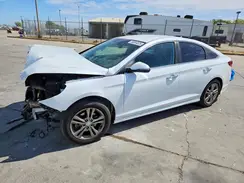 5NPE34AF8KH769004 2019 HYUNDAI SONATA