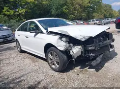 5NPE34AF8KH771366 2019 HYUNDAI SONATA