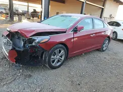 5NPE34AF8KH771965 2019 HYUNDAI SONATA