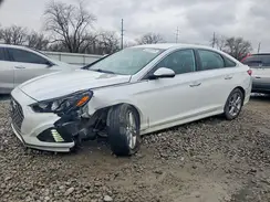 5NPE34AF8KH773604 2019 HYUNDAI SONATA