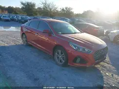 5NPE34AF8KH776583 2019 HYUNDAI SONATA