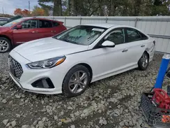 5NPE34AF8KH777703 2019 HYUNDAI SONATA