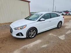 5NPE34AF8KH778169 2019 HYUNDAI SONATA