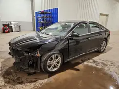 5NPE34AF8KH785316 2019 HYUNDAI SONATA
