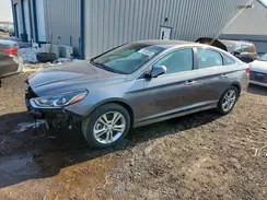 5NPE34AF8KH787177 2019 HYUNDAI SONATA