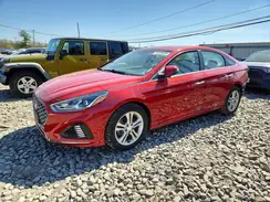 5NPE34AF8KH787891 2019 HYUNDAI SONATA
