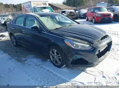 5NPE34AF8KH793383 2019 HYUNDAI SONATA