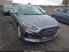 5NPE34AF8KH802566 2019 HYUNDAI SONATA