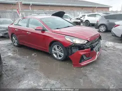 5NPE34AF8KH803734 2019 HYUNDAI SONATA