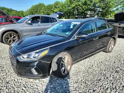 5NPE34AF8KH807184 2019 HYUNDAI SONATA