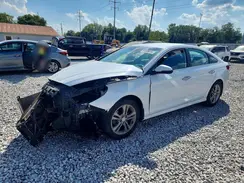 5NPE34AF8KH807816 2019 HYUNDAI SONATA