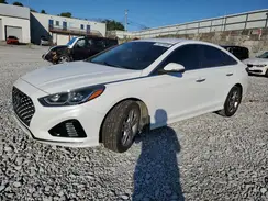 5NPE34AF8KH810361 2019 HYUNDAI SONATA