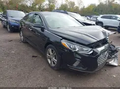 5NPE34AF8KH813146 2019 HYUNDAI SONATA