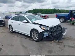 5NPE34AF8KH816113 2019 HYUNDAI SONATA