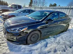 5NPE34AF8KH818377 2019 HYUNDAI SONATA