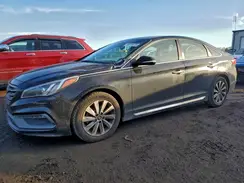 5NPE34AF9GH264550 2016 HYUNDAI SONATA