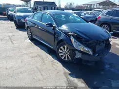 5NPE34AF9GH270039 2016 HYUNDAI SONATA