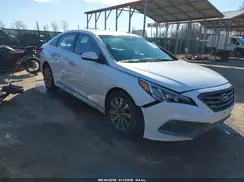 5NPE34AF9GH273894 2016 HYUNDAI SONATA