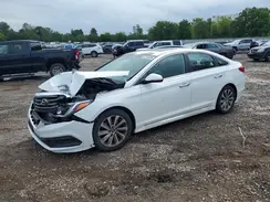 5NPE34AF9GH369668 2016 HYUNDAI SONATA