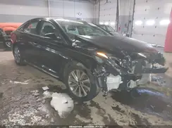 5NPE34AF9GH415404 2016 HYUNDAI SONATA