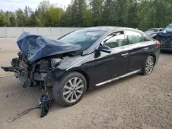 5NPE34AF9GH421719 2016 HYUNDAI SONATA
