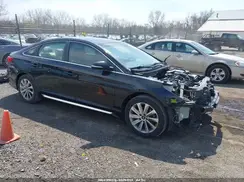 5NPE34AF9HH443382 2017 HYUNDAI SONATA