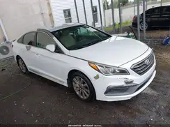 5NPE34AF9HH445567 2017 HYUNDAI SONATA