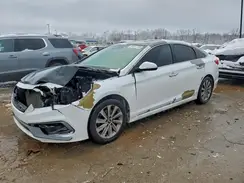 5NPE34AF9HH496356 2017 HYUNDAI SONATA