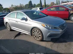 5NPE34AF9HH499239 2017 HYUNDAI SONATA