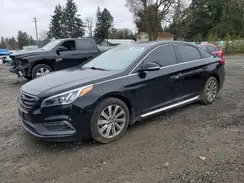 5NPE34AF9HH504939 2017 HYUNDAI SONATA