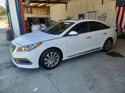 5NPE34AF9HH509087 2017 HYUNDAI SONATA