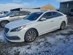 5NPE34AF9HH521031 2017 HYUNDAI SONATA