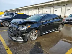 5NPE34AF9HH523779 2017 HYUNDAI SONATA
