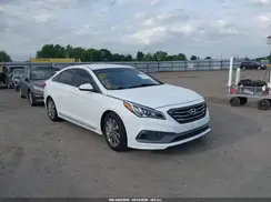 5NPE34AF9HH557768 2017 HYUNDAI SONATA