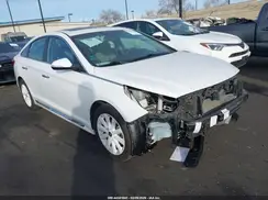 5NPE34AF9HH566163 2017 HYUNDAI SONATA
