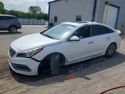 5NPE34AF9HH587501 2017 HYUNDAI SONATA