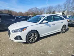 5NPE34AF9KH733175 2019 HYUNDAI SONATA