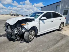 5NPE34AF9KH743771 2019 HYUNDAI SONATA