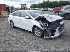 5NPE34AF9KH752647 2019 HYUNDAI SONATA