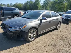 5NPE34AF9KH763065 2019 HYUNDAI SONATA