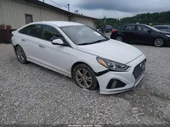 5NPE34AF9KH772381 2019 HYUNDAI SONATA