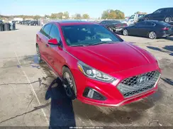 5NPE34AF9KH773563 2019 HYUNDAI SONATA
