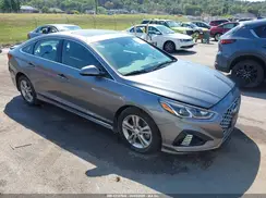 5NPE34AF9KH778570 2019 HYUNDAI SONATA