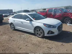 5NPE34AF9KH780450 2019 HYUNDAI SONATA